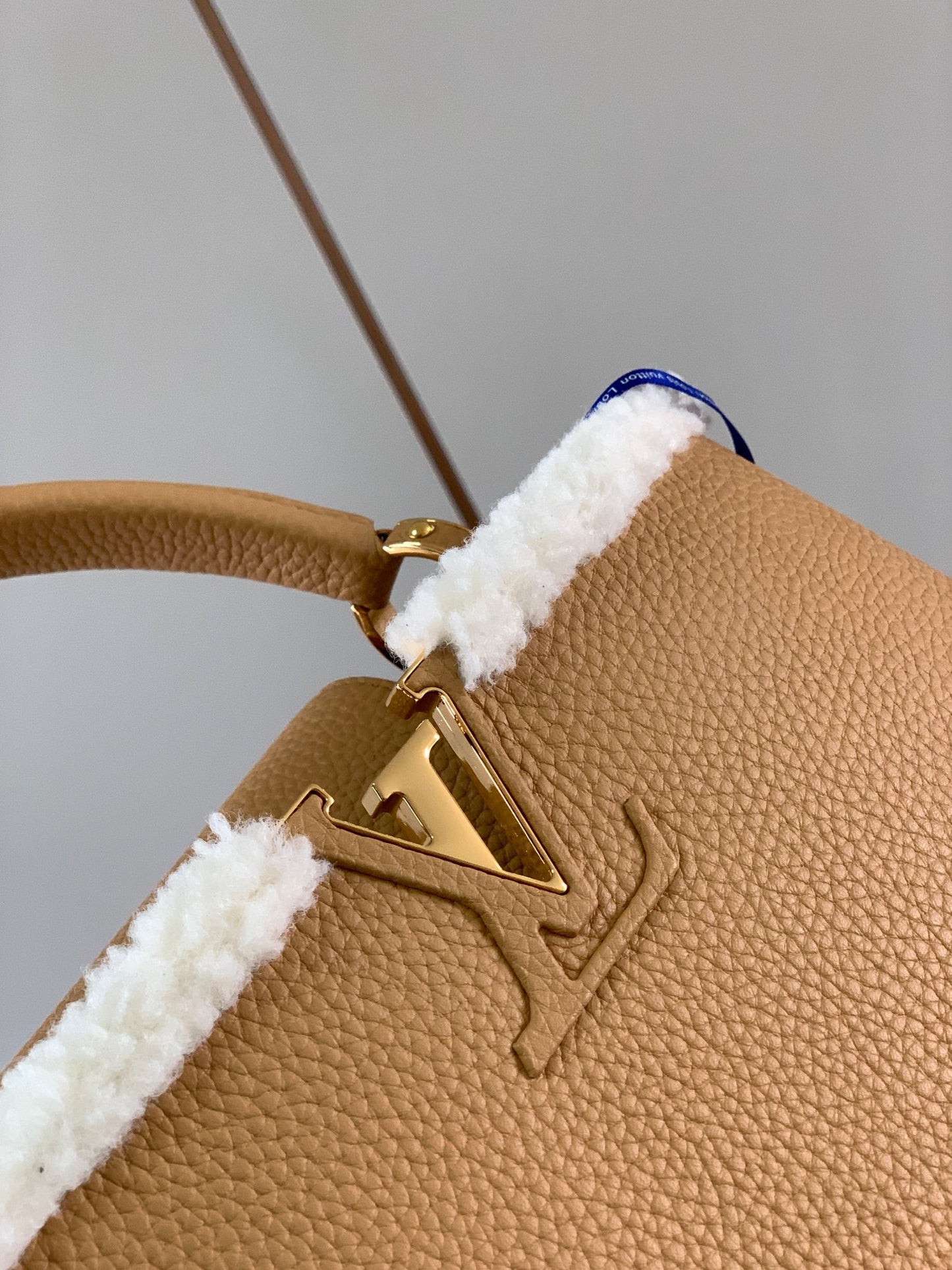 Louis Vuitton Capucines Medium Bag In Brown