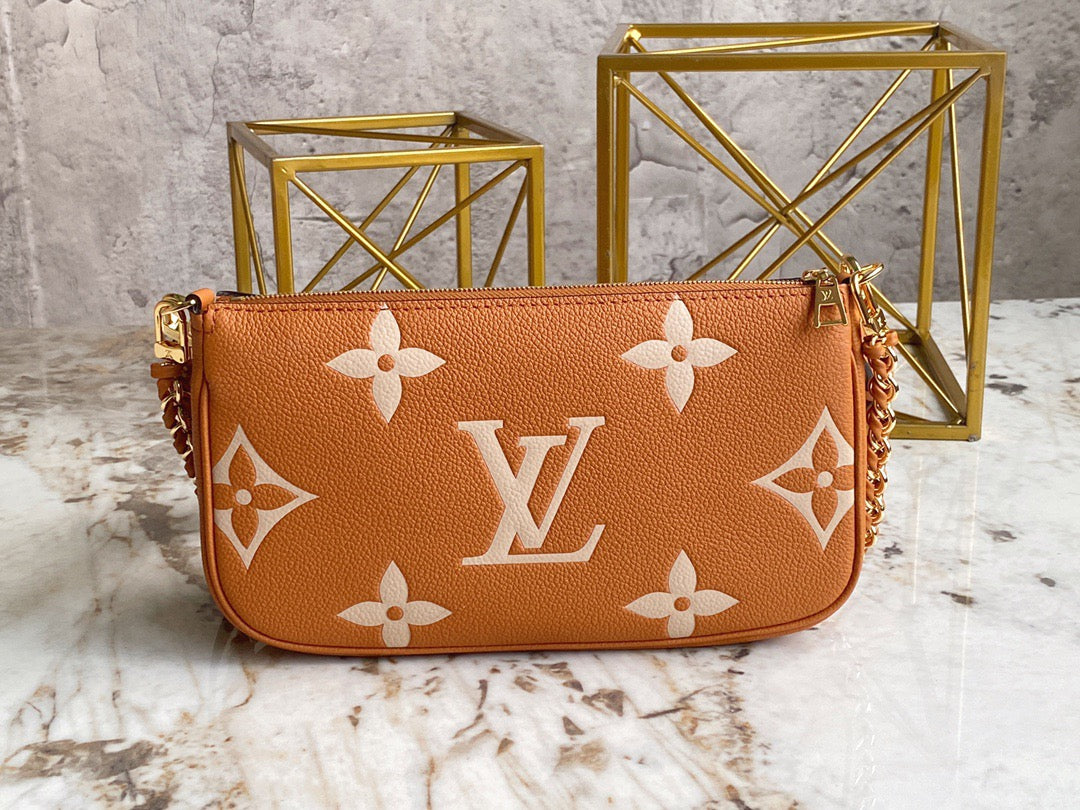 Louis Vuitton Large Pochette Accessories In Gold Brown With Beige Presbyopia