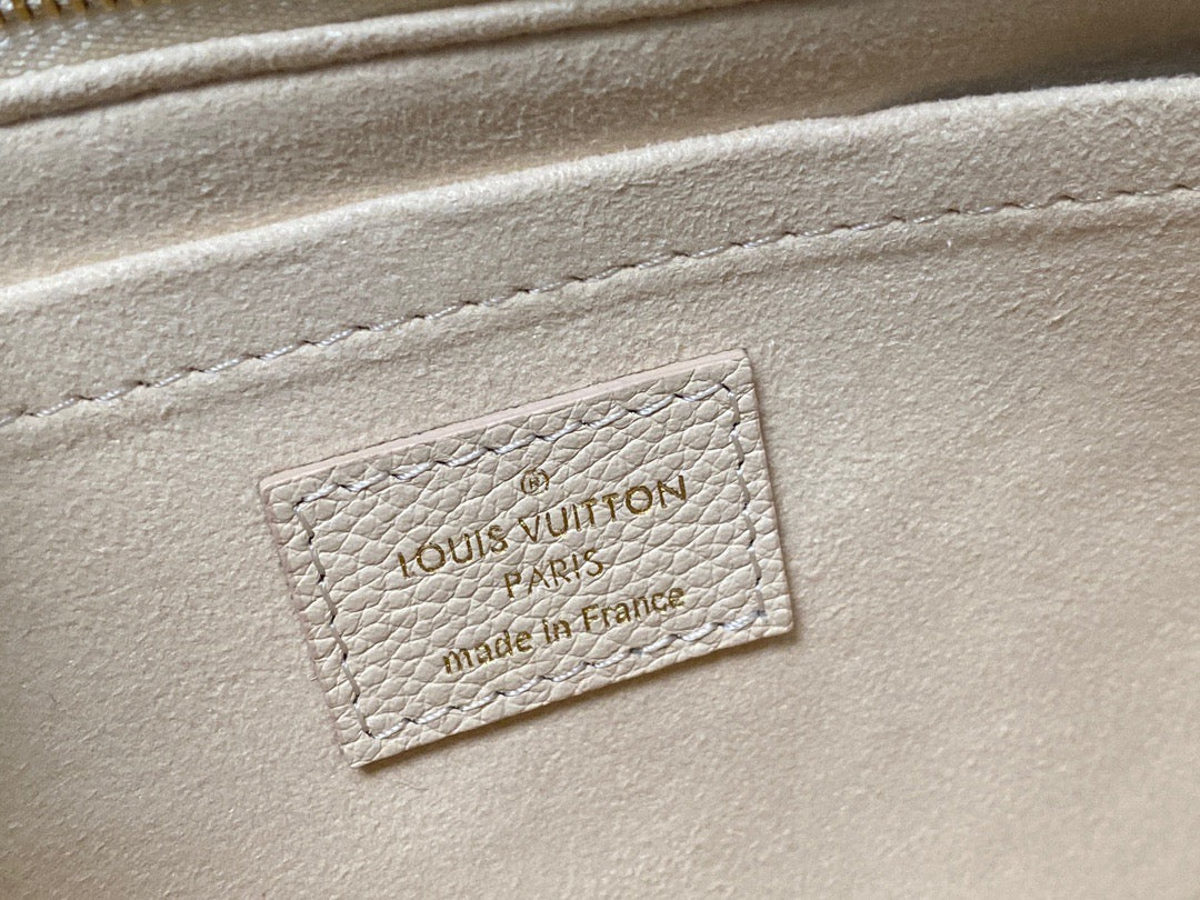 Louis Vuitton Large Pochette Accessories In Beige Embossed