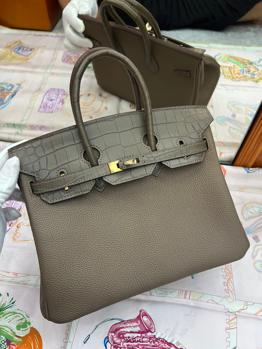 Hermes Touch Birkin 25 Bag in Etoupe Clemence and Matte Alligator Leather