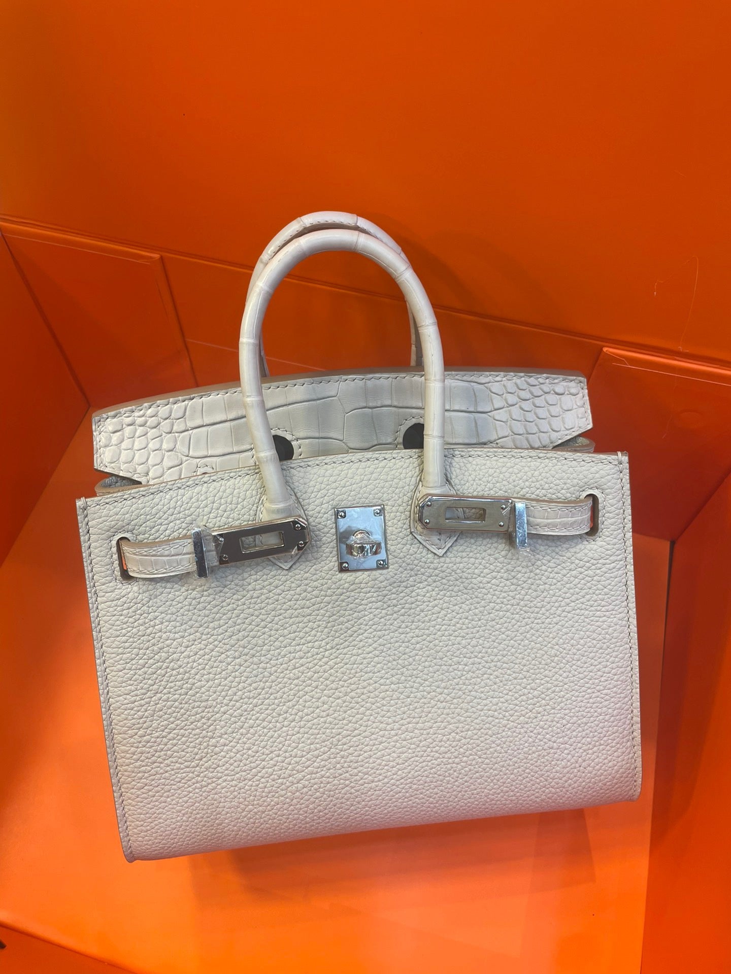 Hermes Touch Birkin 25 Bag in White Clemence and Matte Alligator Leather