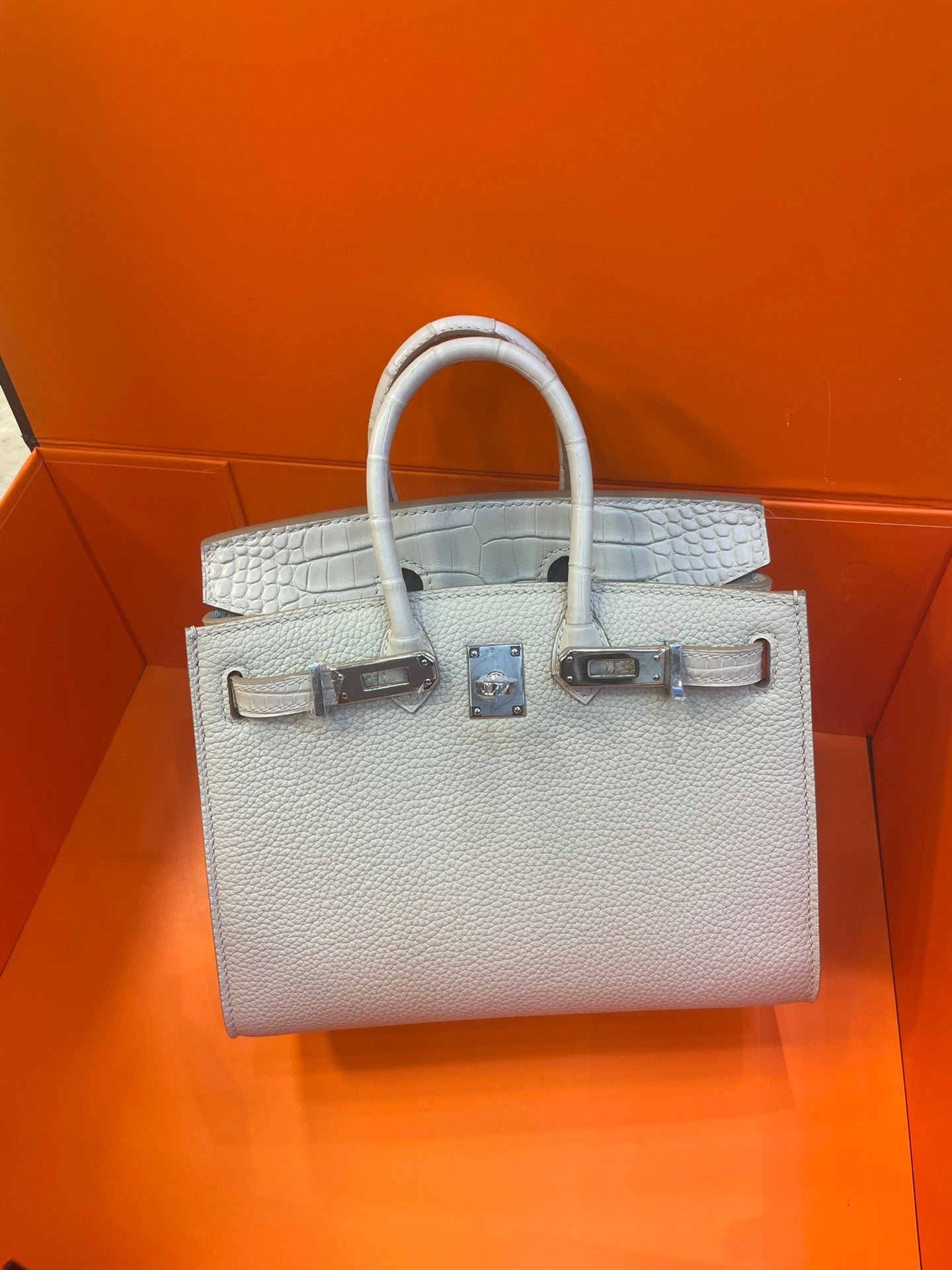 Hermes Touch Birkin 25 Bag in White Clemence and Matte Alligator Leather