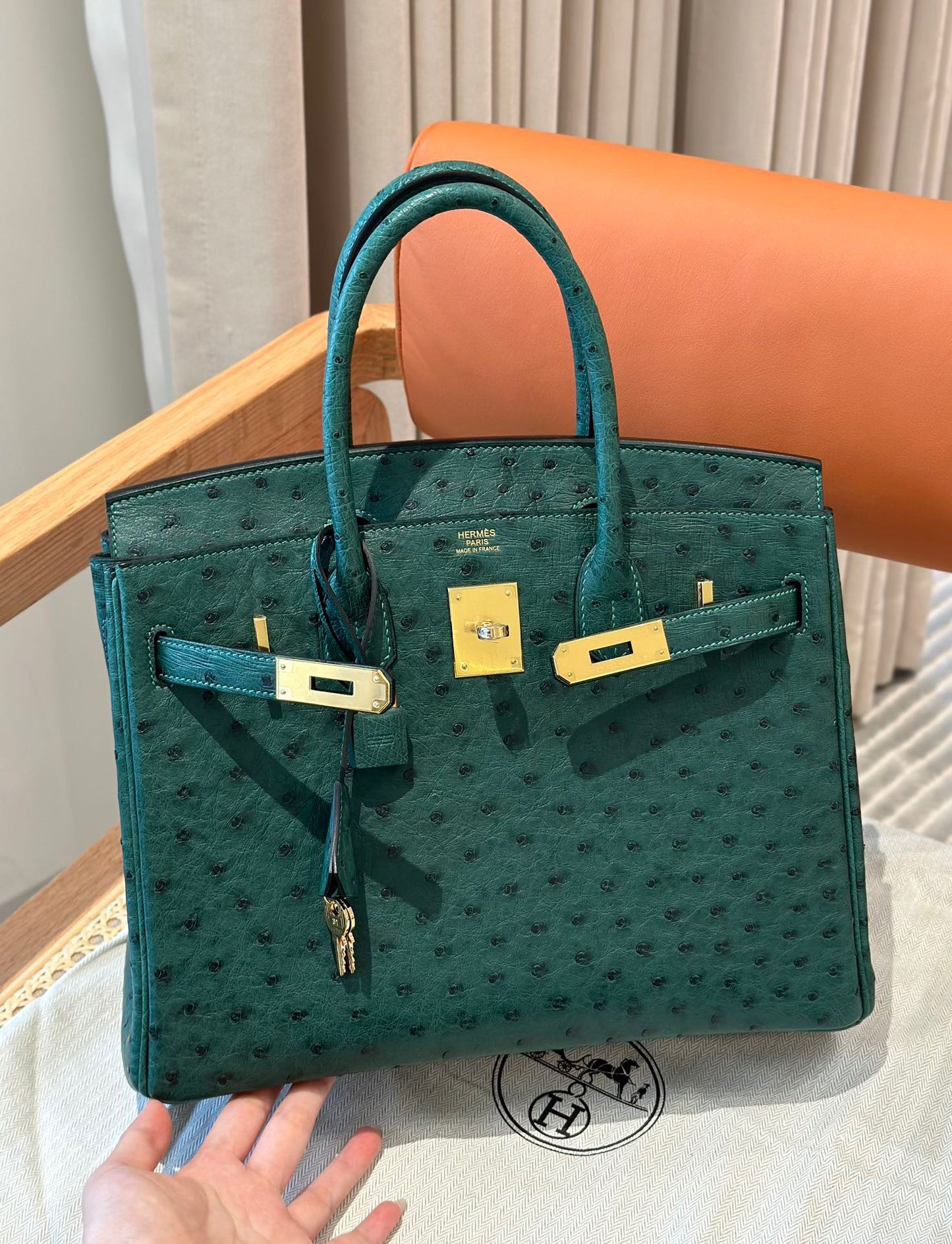 Hermès Birkin 30 Green Ostrich Leather Handbag