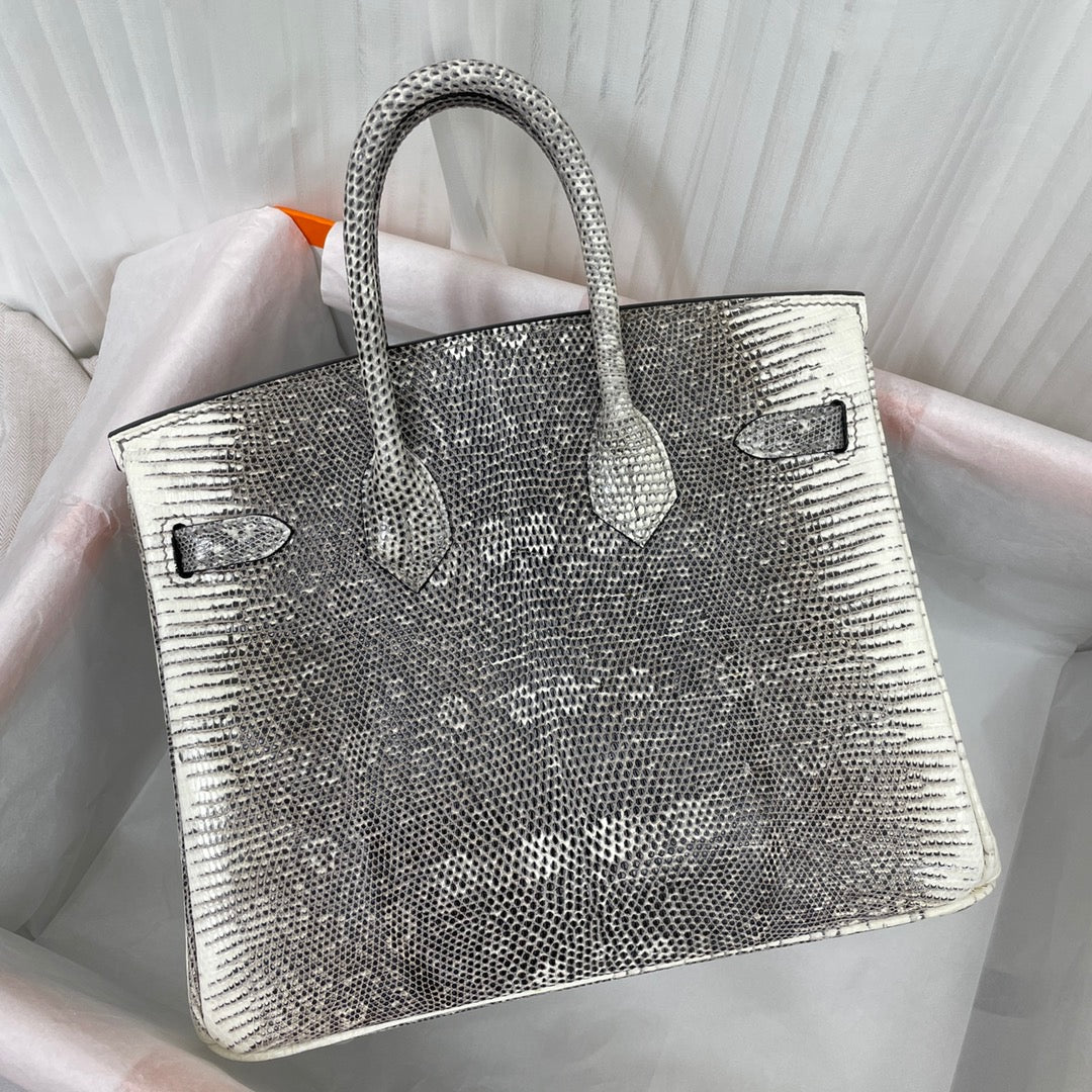 Hermes Birkin 25 Ombre Lizard Exotic  Bag