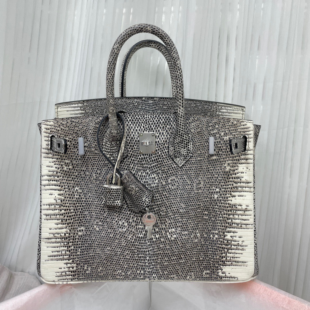 Hermes Birkin 25 Ombre Lizard Exotic  Bag