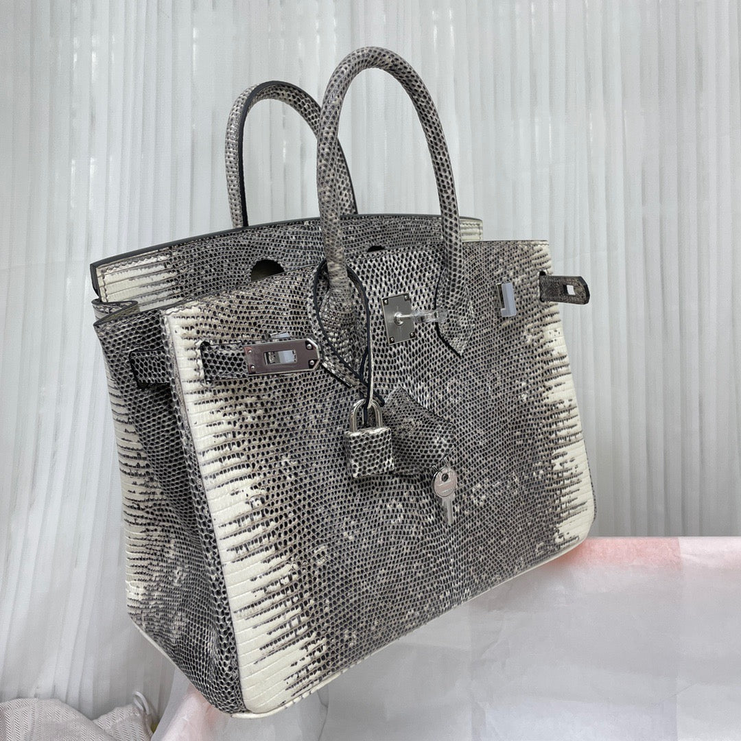 Hermes Birkin 25 Ombre Lizard Exotic  Bag