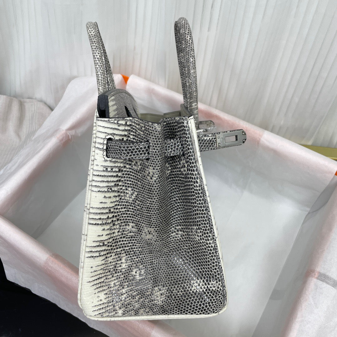 Hermes Birkin 25 Ombre Lizard Exotic  Bag