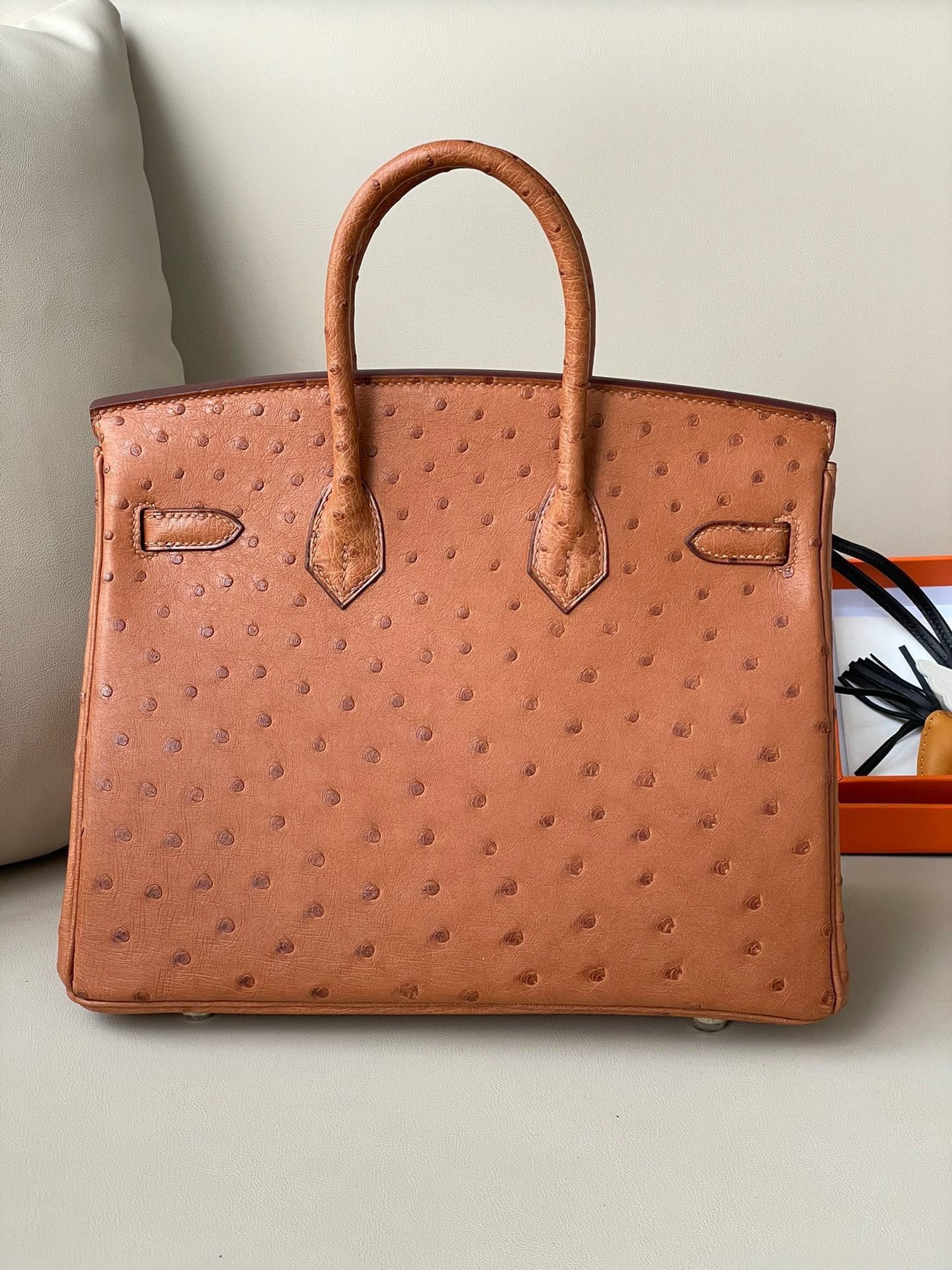 Hermes Birkin 25 Orange Ostrich Leather With Silver Hardware