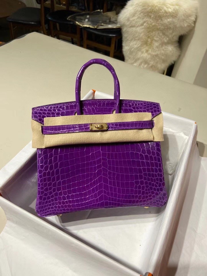 Hermes Birkin 25 Matte Mississippiensis Alligator Leather Purple With Gold Hardware