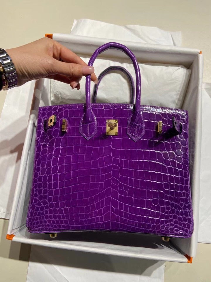 Hermes Birkin 25 Matte Mississippiensis Alligator Leather Purple With Gold Hardware