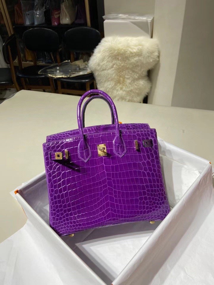 Hermes Birkin 25 Matte Mississippiensis Alligator Leather Purple With Gold Hardware