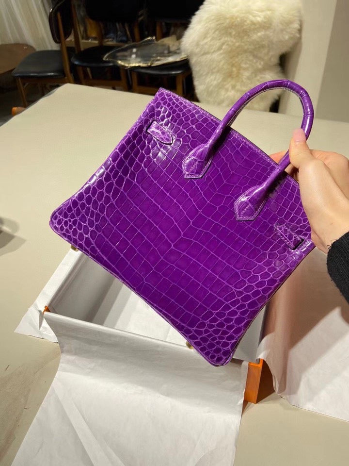 Hermes Birkin 25 Matte Mississippiensis Alligator Leather Purple With Gold Hardware