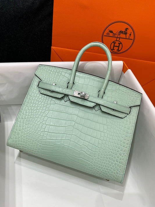 Hermes Birkin 25 Matte Mississippiensis Alligator Mint Green With Silver Hardware