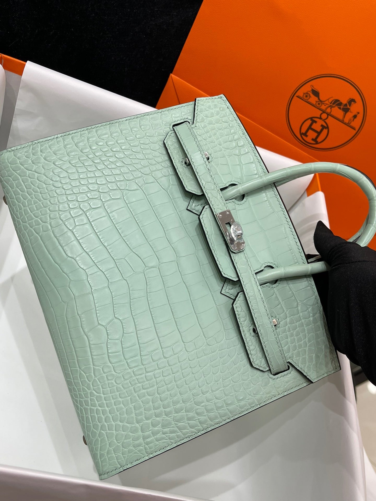 Hermes Birkin 25 Matte Mississippiensis Alligator Mint Green With Silver Hardware