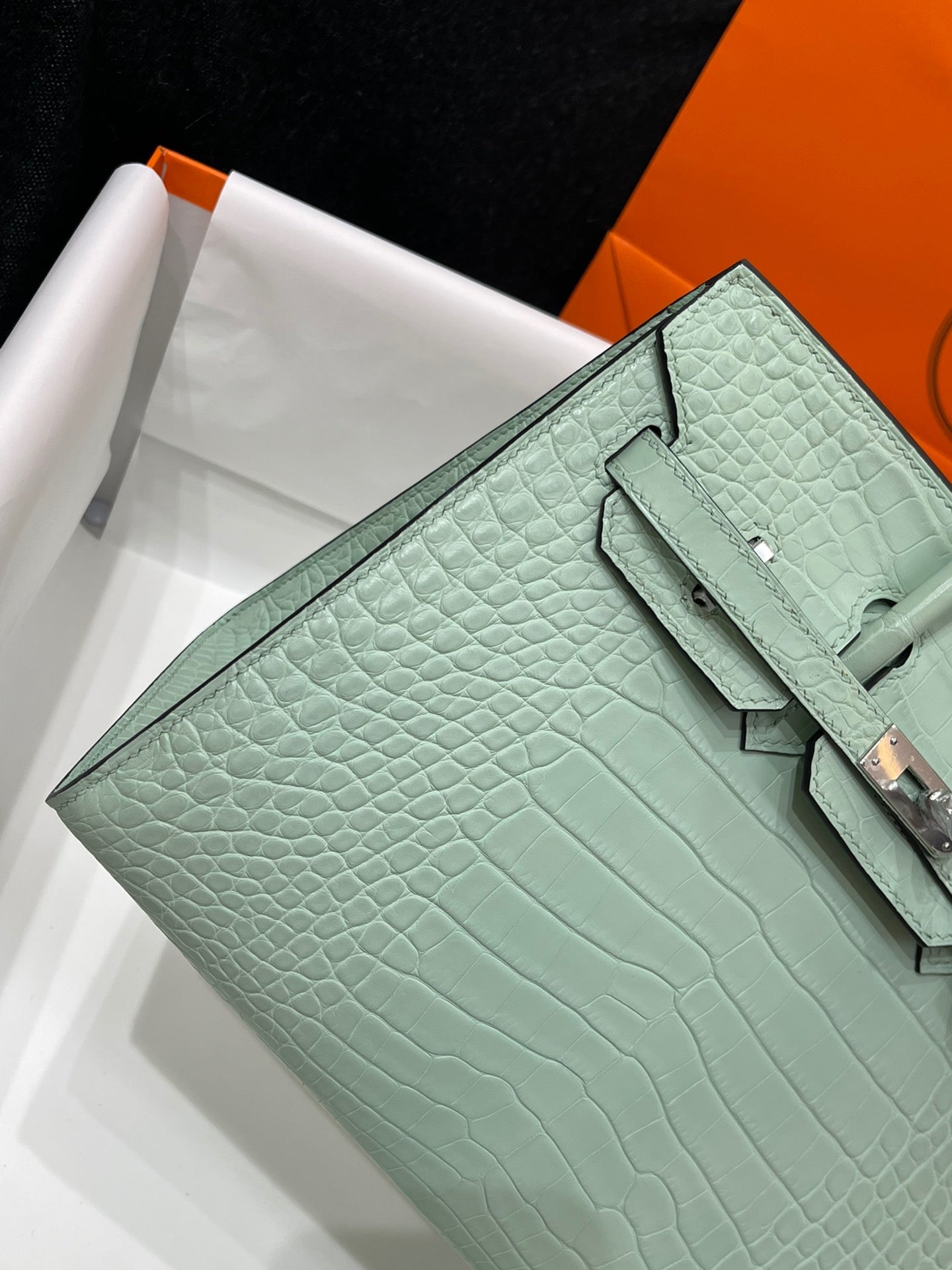 Hermes Birkin 25 Matte Mississippiensis Alligator Mint Green With Silver Hardware