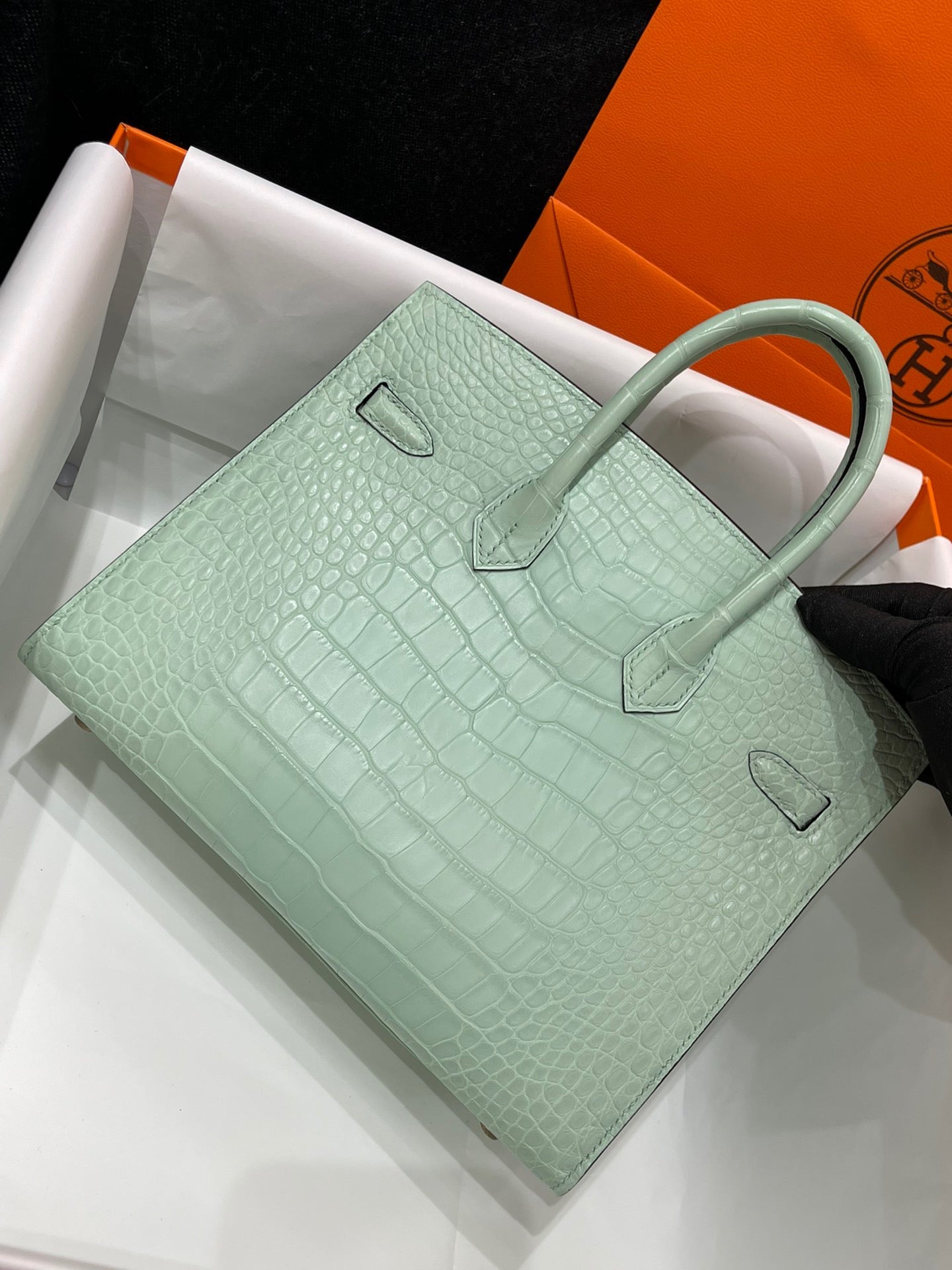 Hermes Birkin 25 Matte Mississippiensis Alligator Mint Green With Silver Hardware