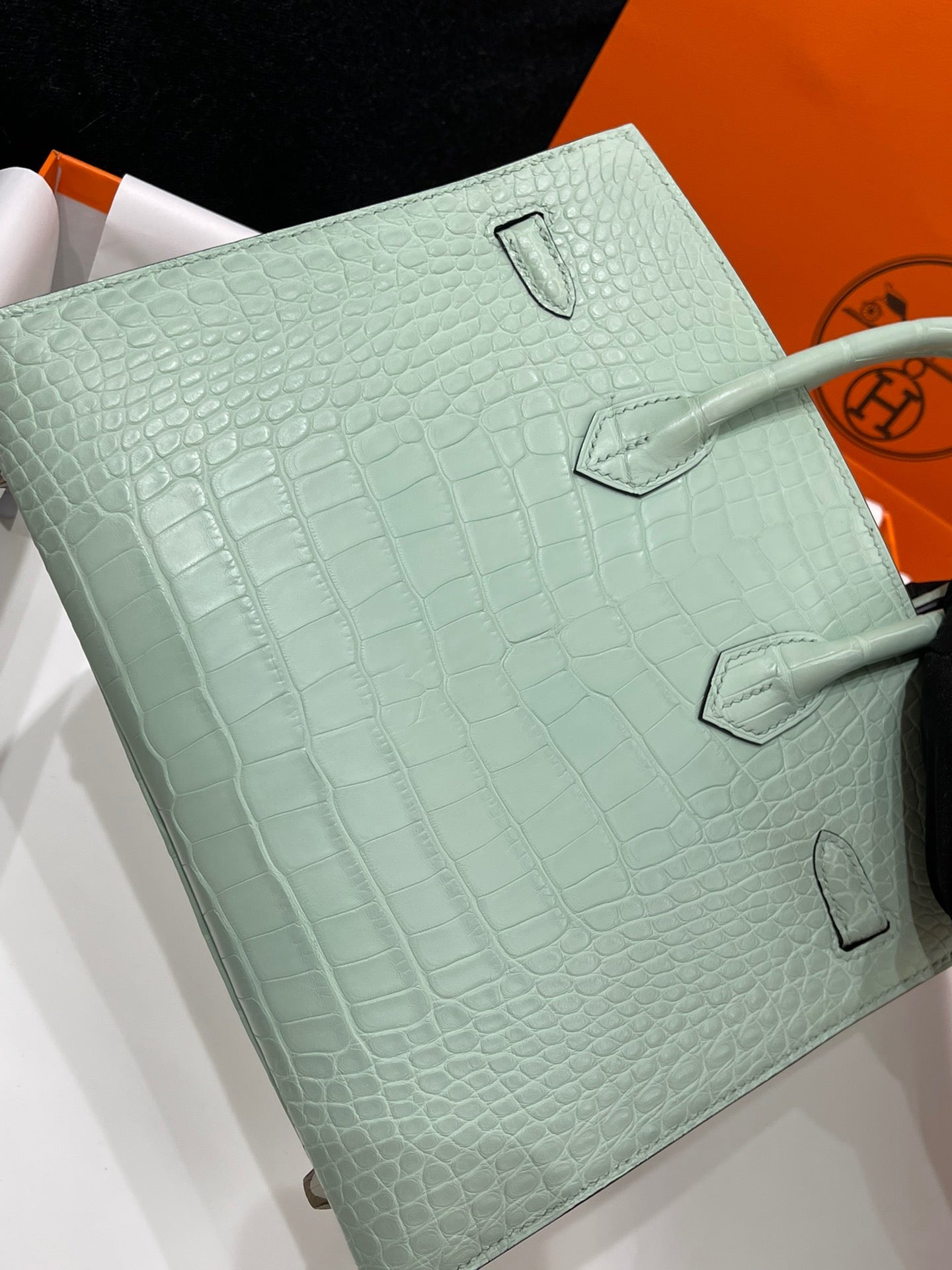 Hermes Birkin 25 Matte Mississippiensis Alligator Mint Green With Silver Hardware