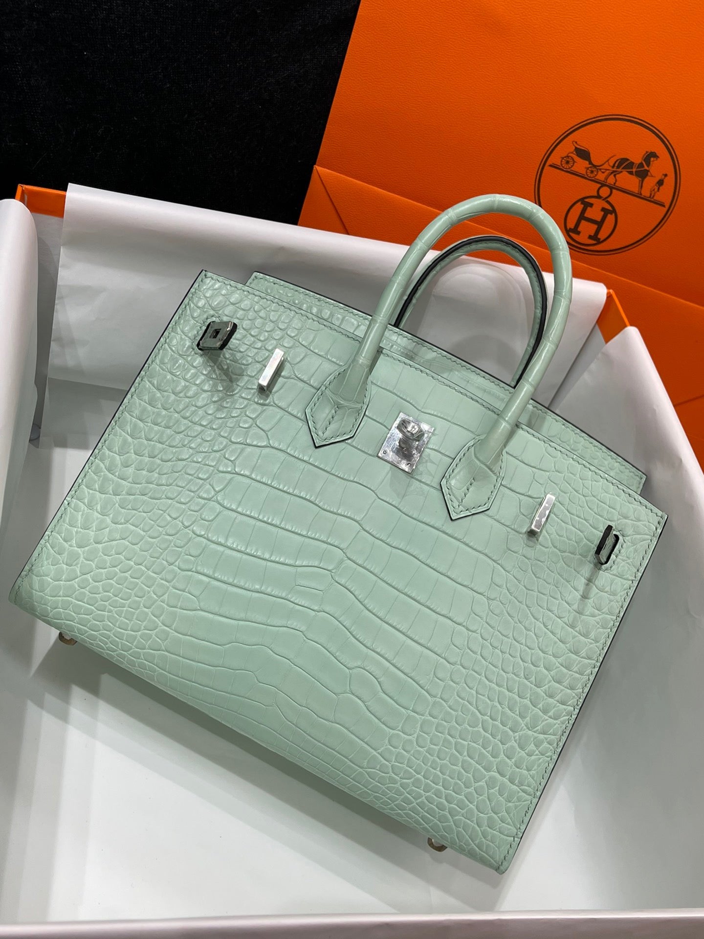Hermes Birkin 25 Matte Mississippiensis Alligator Mint Green With Silver Hardware