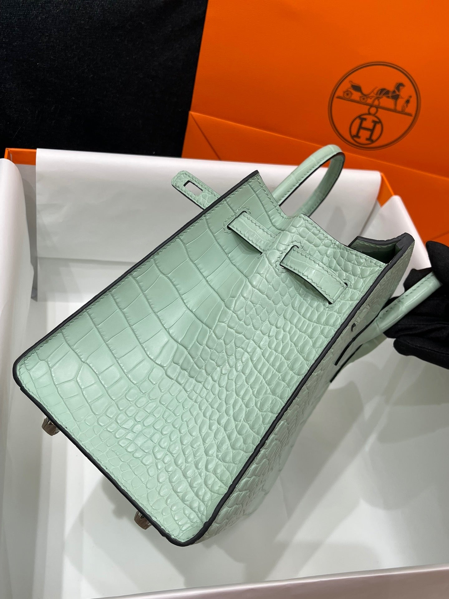 Hermes Birkin 25 Matte Mississippiensis Alligator Mint Green With Silver Hardware