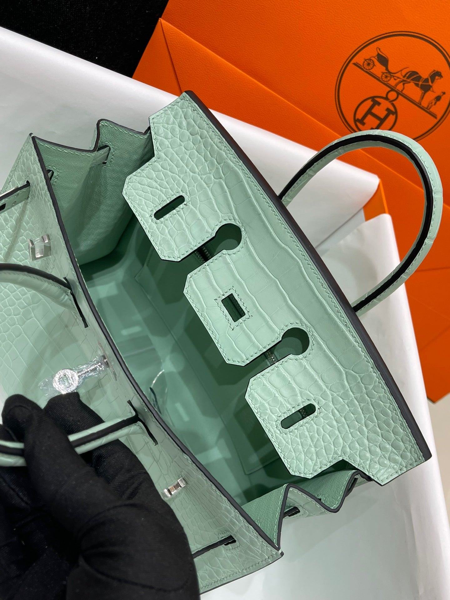 Hermes Birkin 25 Matte Mississippiensis Alligator Mint Green With Silver Hardware