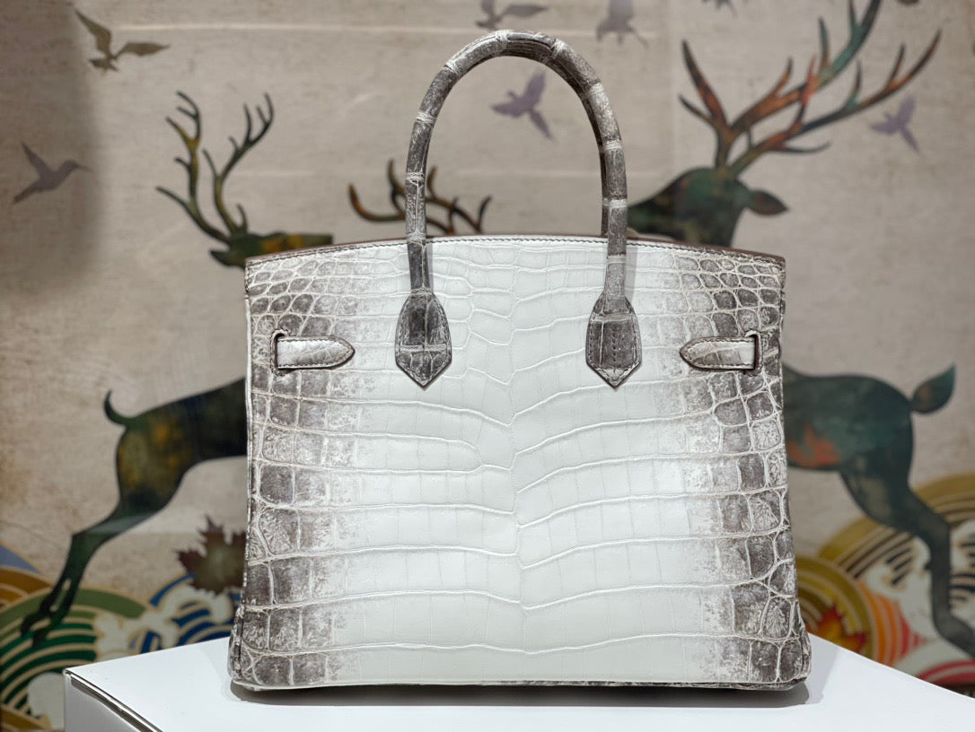 Hermes Birkin 30 Himalayan Crocodile Leather