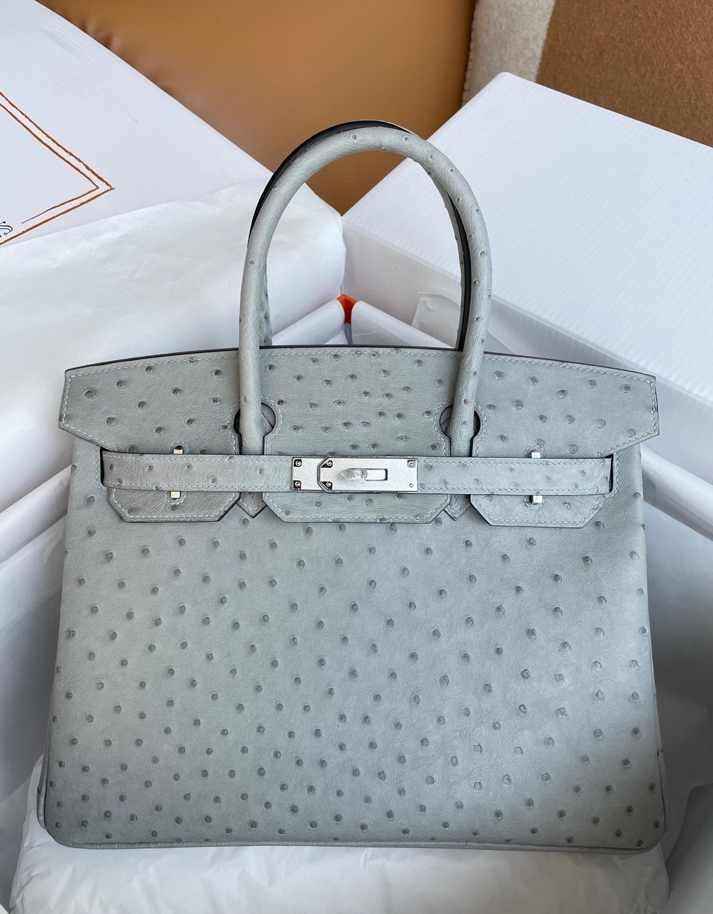 Hermes Birkin 30 Ostrich Leather Glacier Blue With Gold Hardware (GHW)