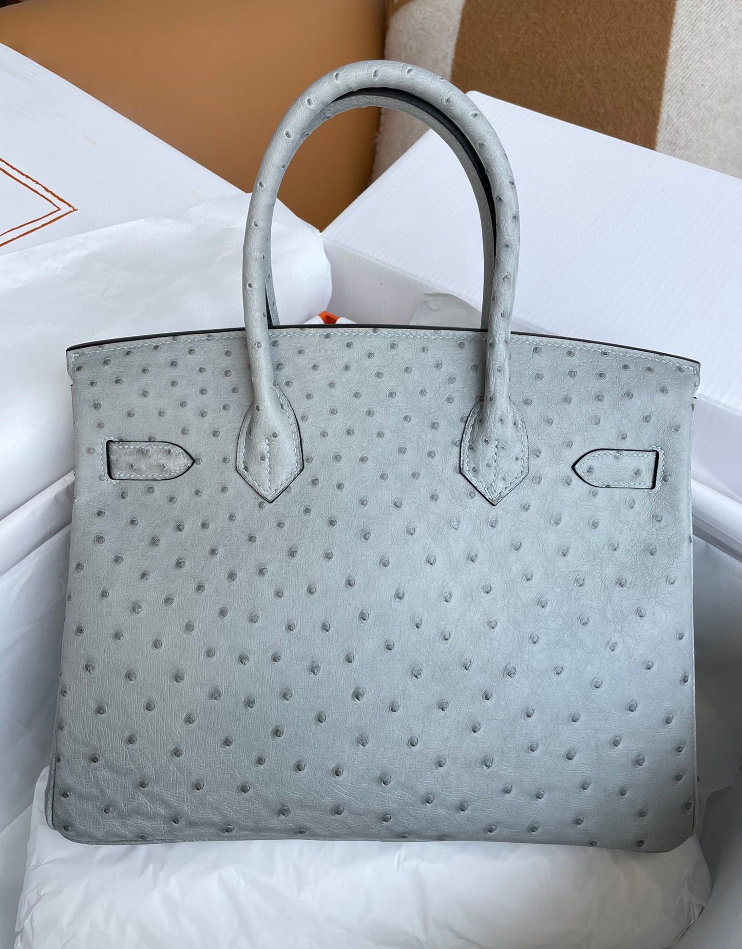 Hermes Birkin 30 Ostrich Leather Glacier Blue With Gold Hardware (GHW)