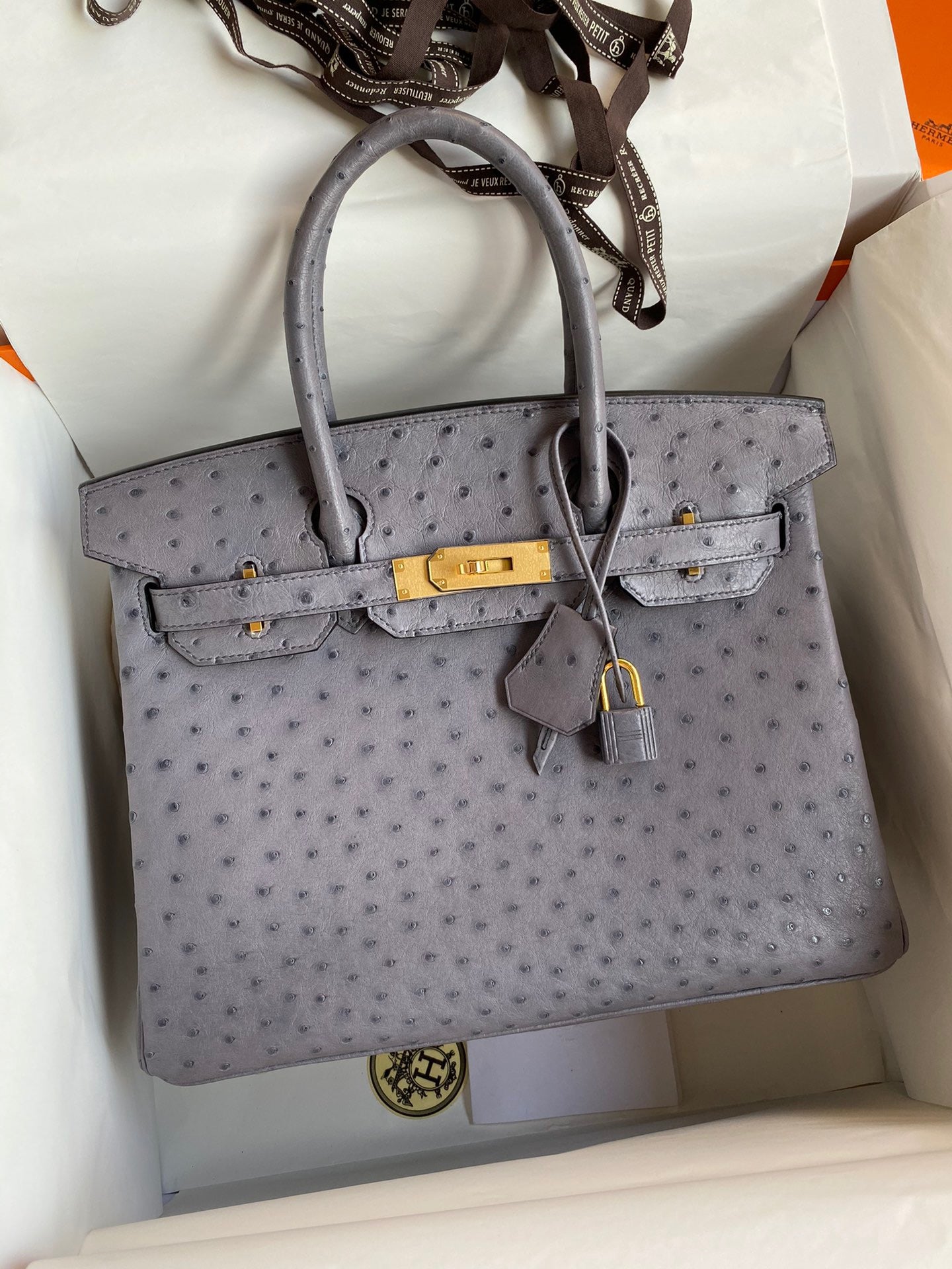 Hermes Birkin 30 Ostrich Leather Turtle Dove Gray With Gold Hardware (GHW)