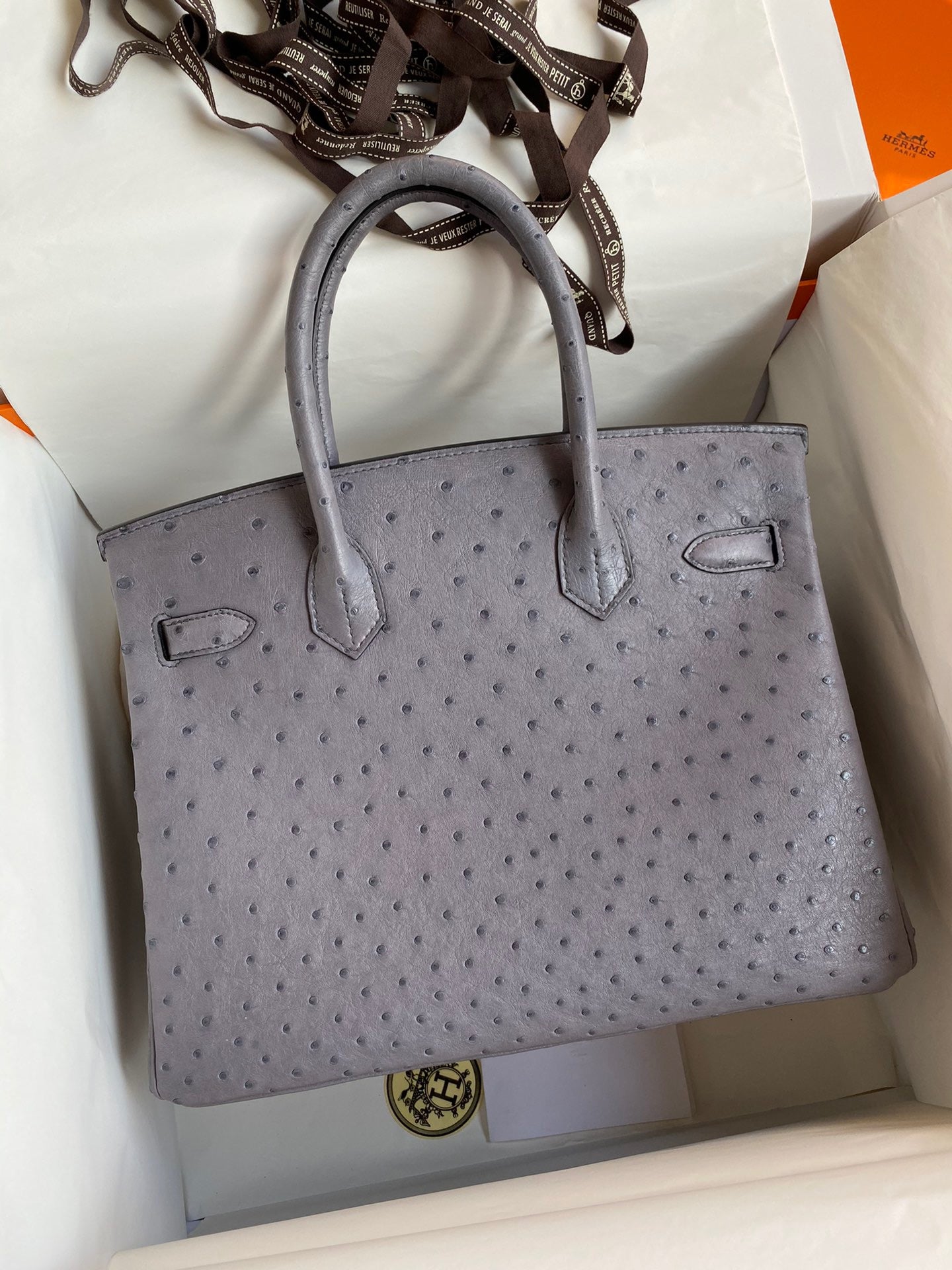 Hermes Birkin 30 Ostrich Leather Turtle Dove Gray With Gold Hardware (GHW)