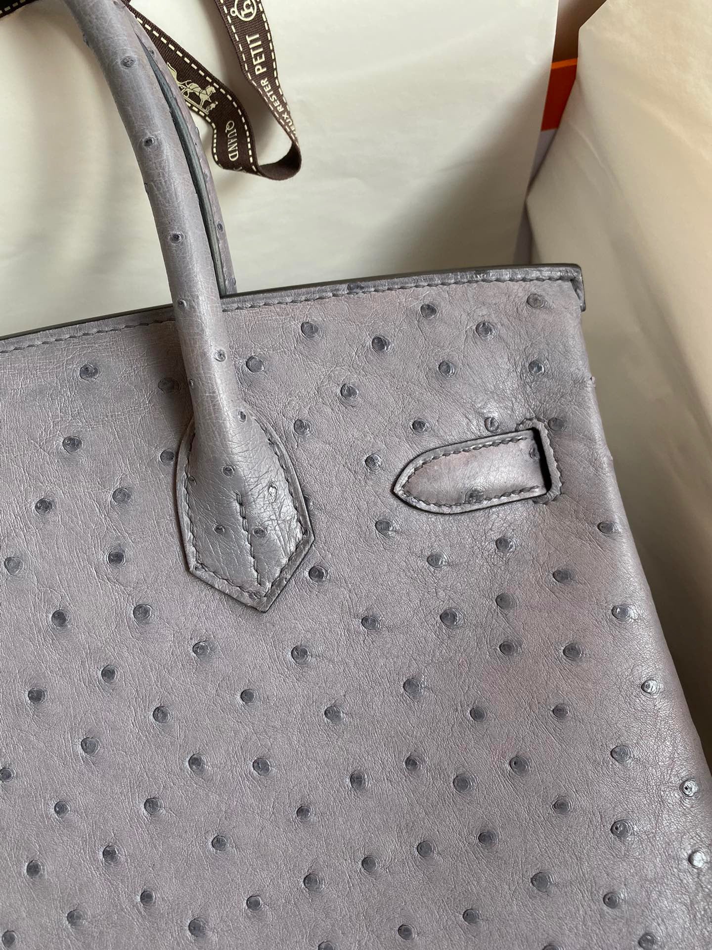 Hermes Birkin 30 Ostrich Leather Turtle Dove Gray With Gold Hardware (GHW)