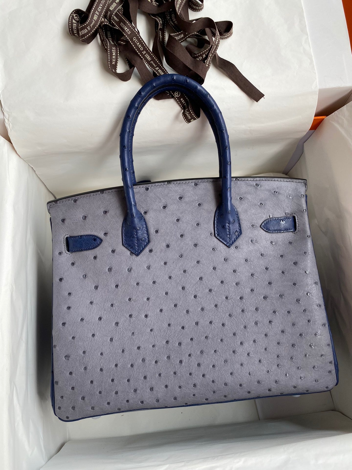 Hermes Birkin 30 Ostrich Leather Light Blue With Silver Hardware (GHW)