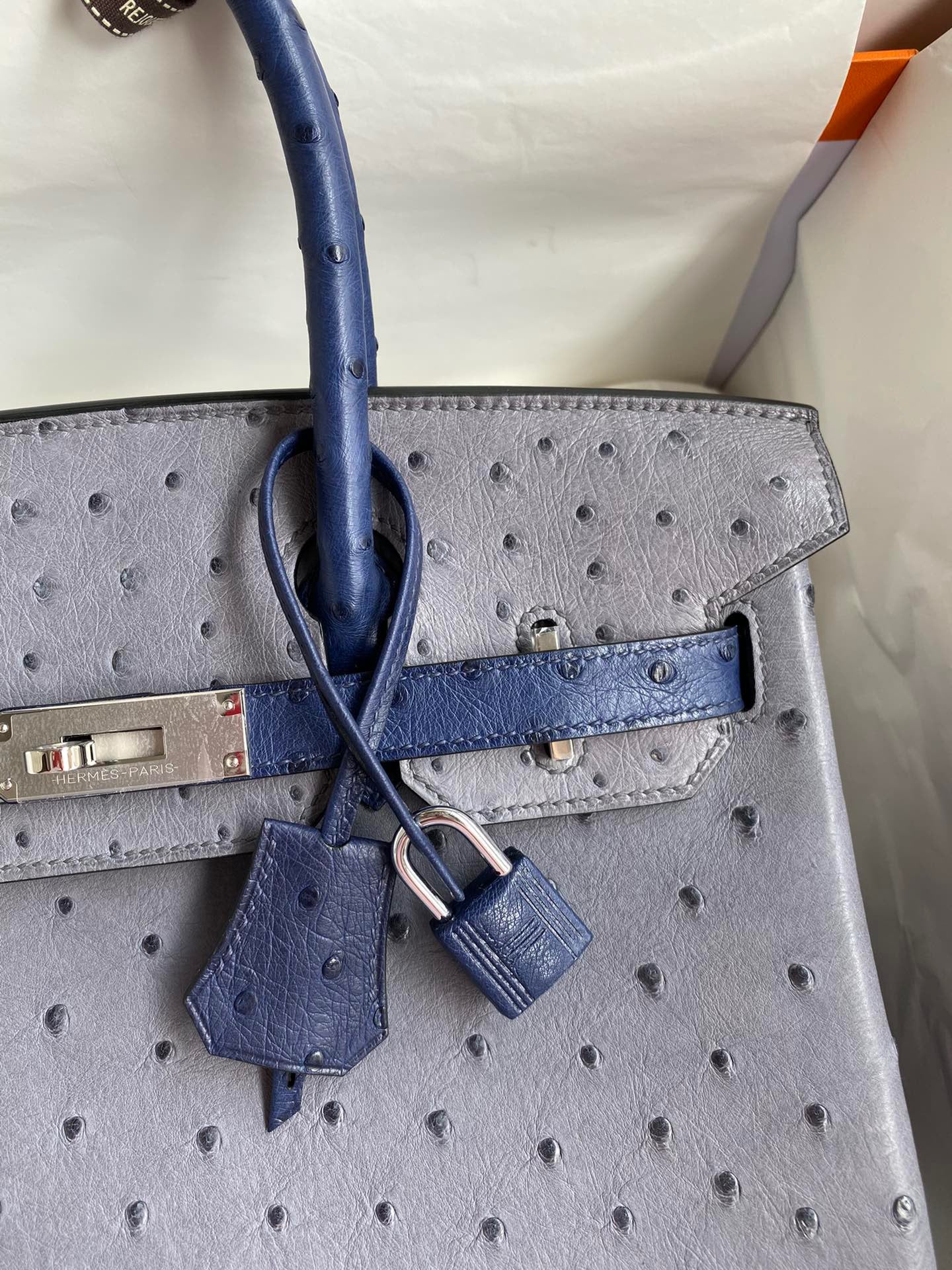 Hermes Birkin 30 Ostrich Leather Light Blue With Silver Hardware (GHW)