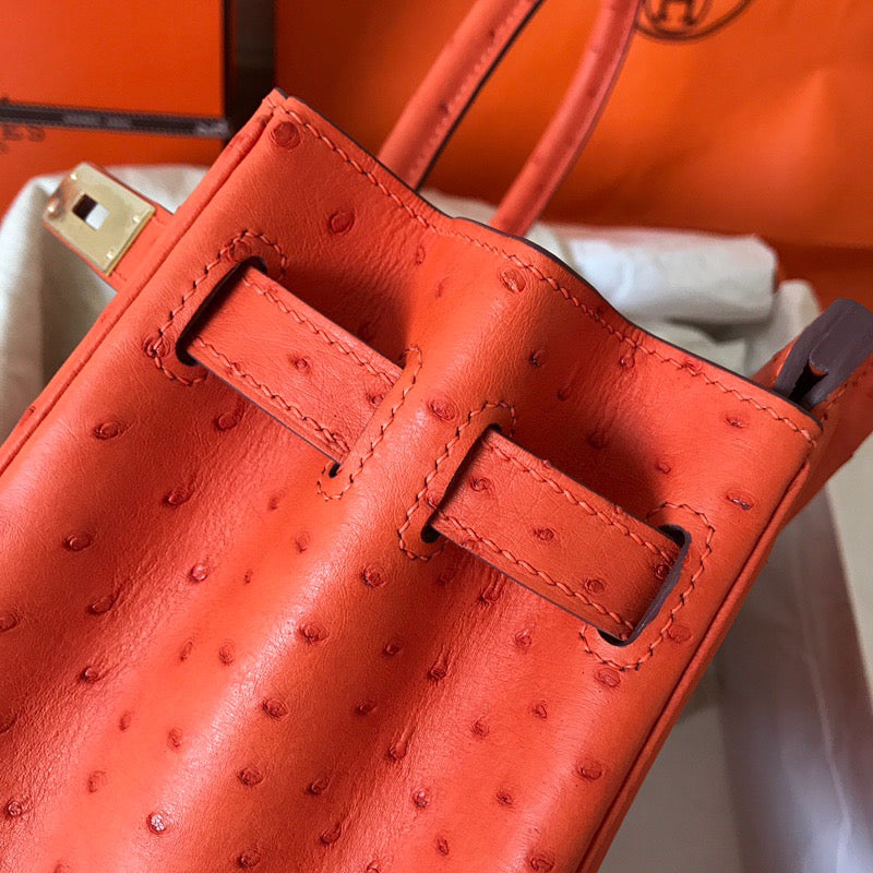 Hermes Birkin 30 Ostrich Leather Orange With Gold Hardware (GHW)