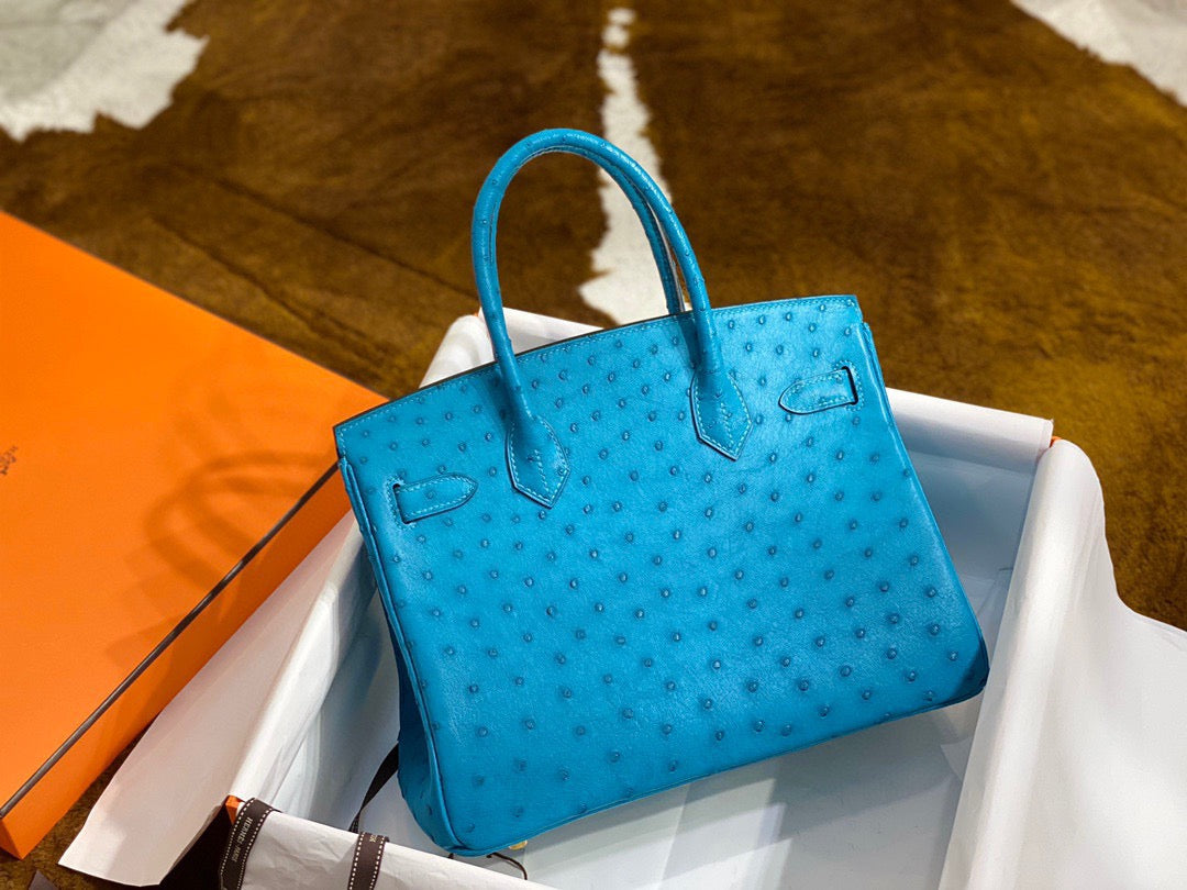 Hermes Birkin 30 Ostrich Leather Sky Blue With Gold Hardware (GHW)