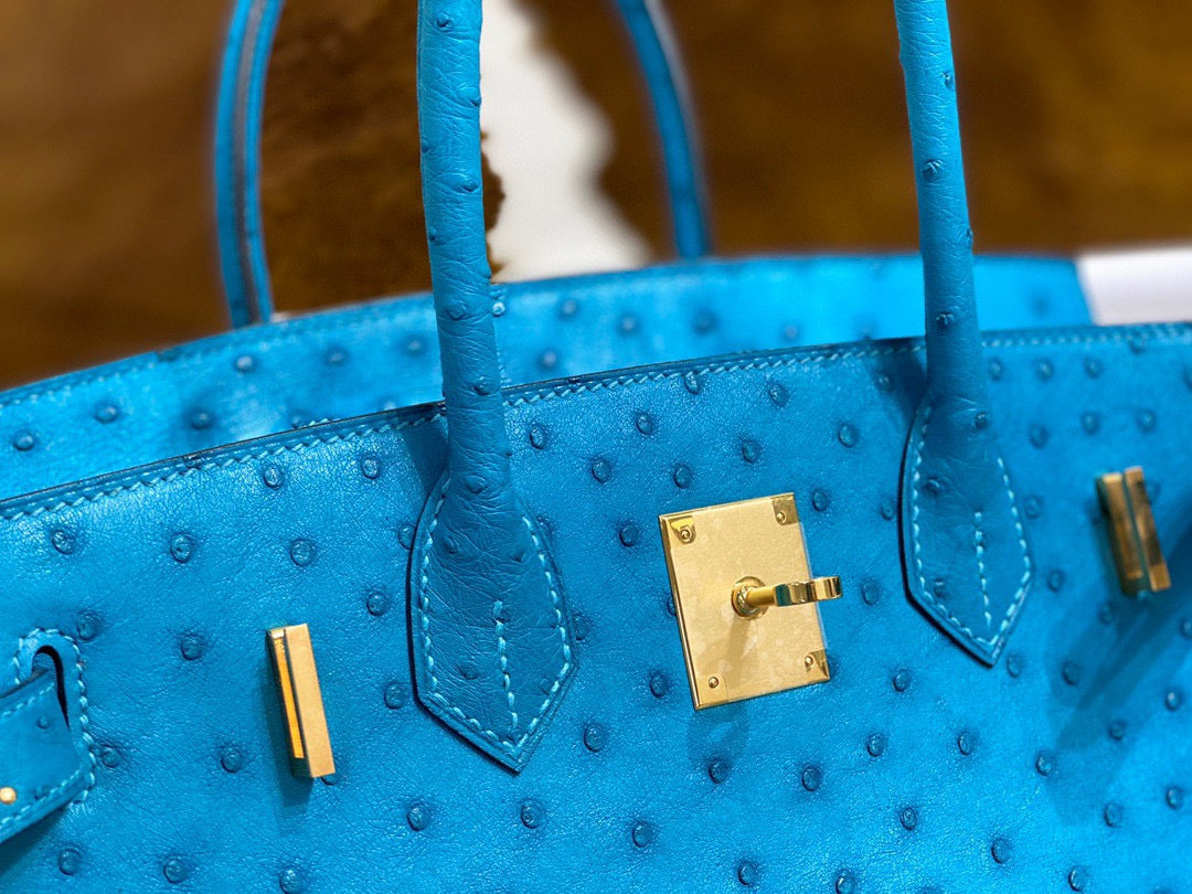 Hermes Birkin 30 Ostrich Leather Sky Blue With Gold Hardware (GHW)