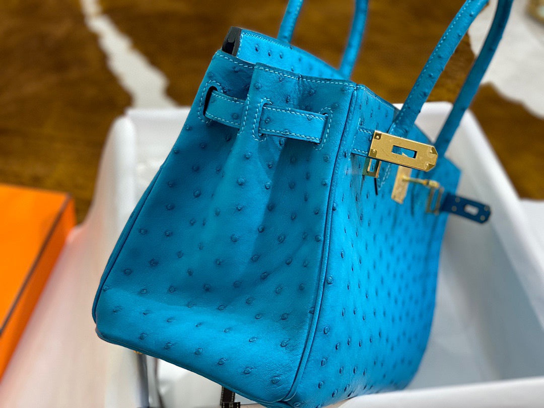 Hermes Birkin 30 Ostrich Leather Sky Blue With Gold Hardware (GHW)