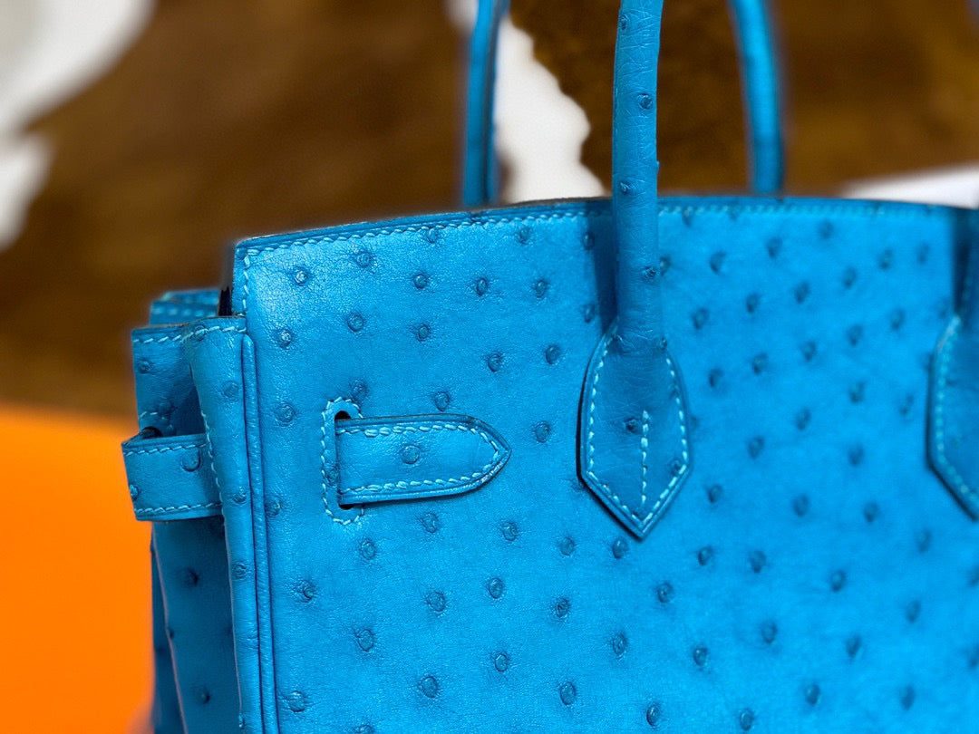 Hermes Birkin 30 Ostrich Leather Sky Blue With Gold Hardware (GHW)