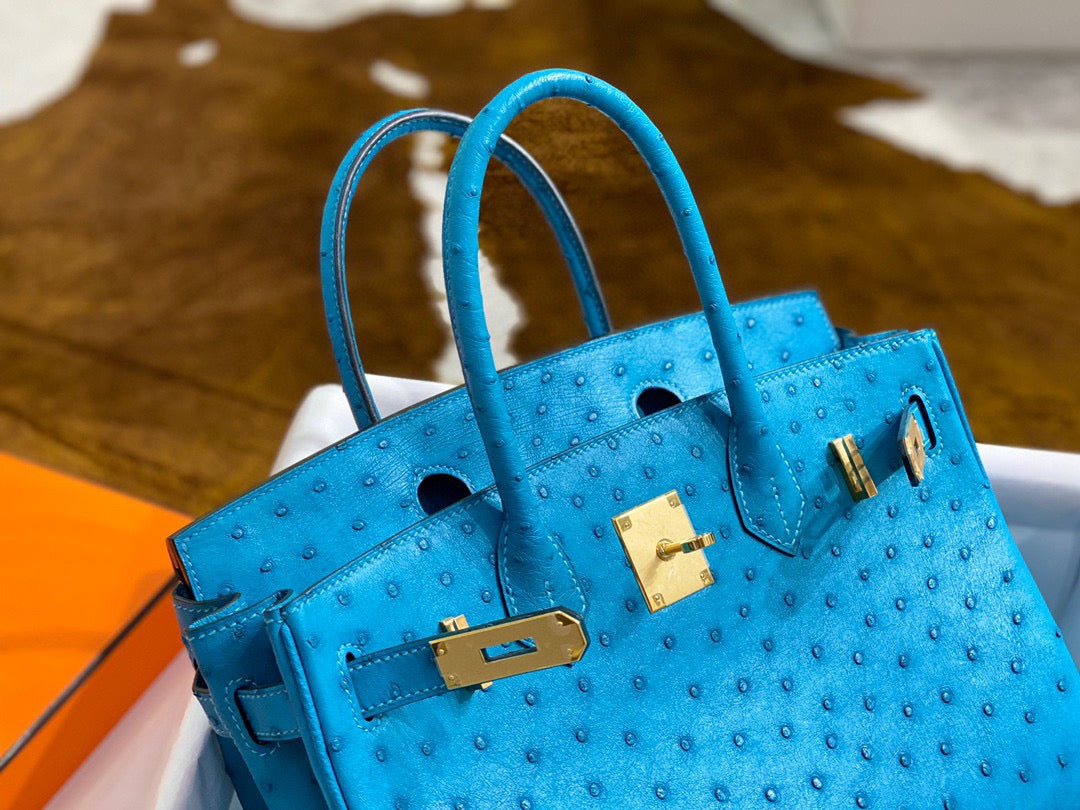 Hermes Birkin 30 Ostrich Leather Sky Blue With Gold Hardware (GHW)