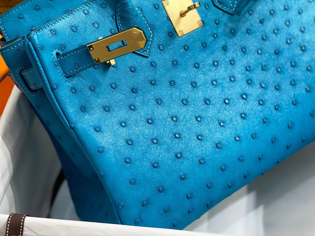 Hermes Birkin 30 Ostrich Leather Sky Blue With Gold Hardware (GHW)