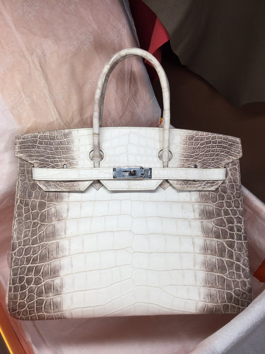 Hermes Matte Niloticus Crocodile Himalaya Birkin 35