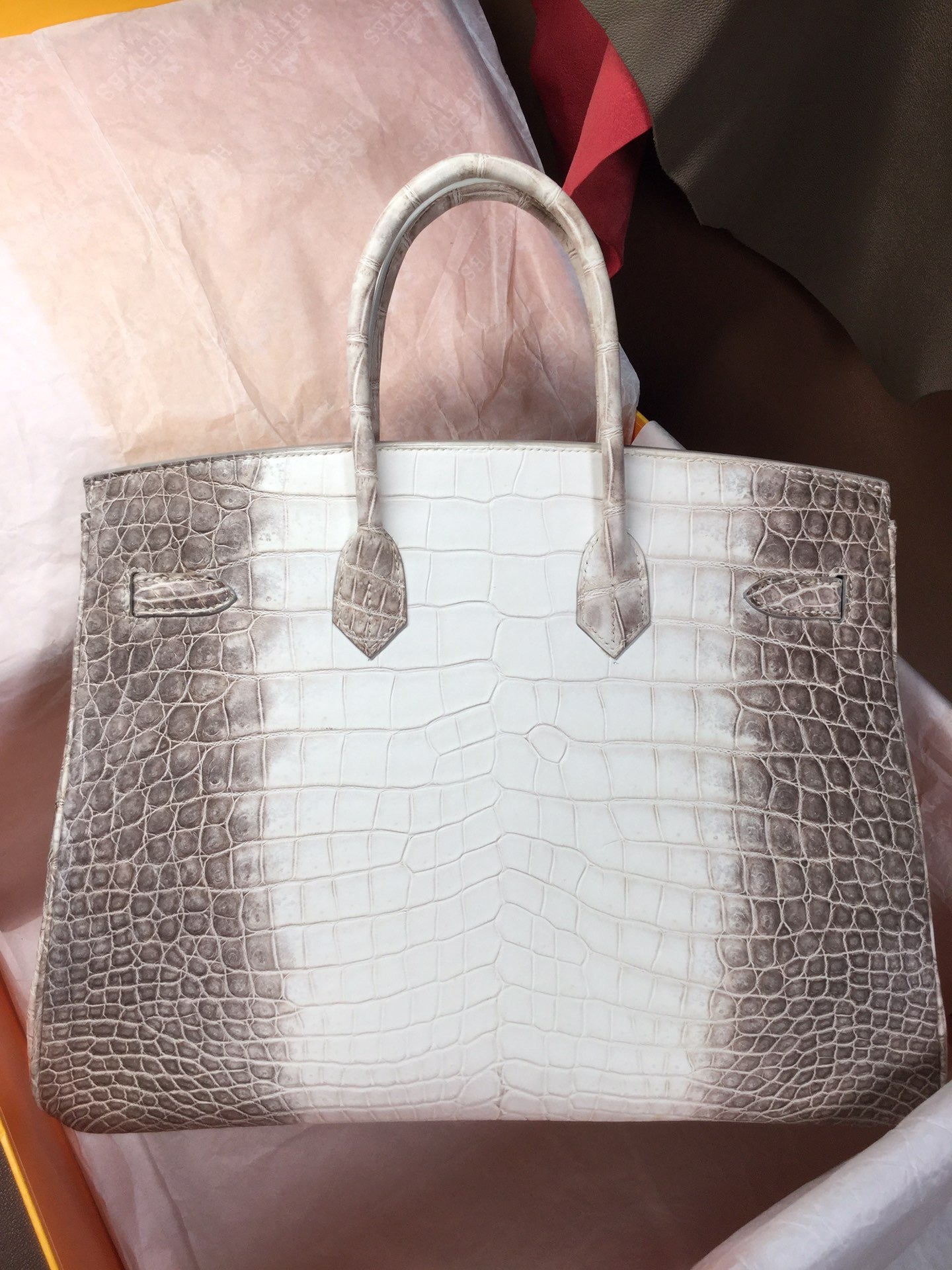 Hermes Matte Niloticus Crocodile Himalaya Birkin 35