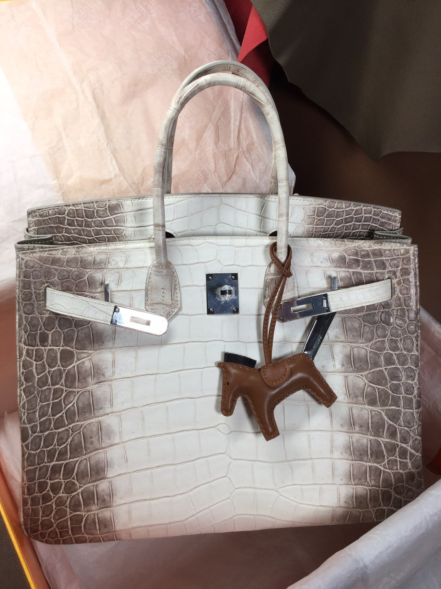 Hermes Matte Niloticus Crocodile Himalaya Birkin 35